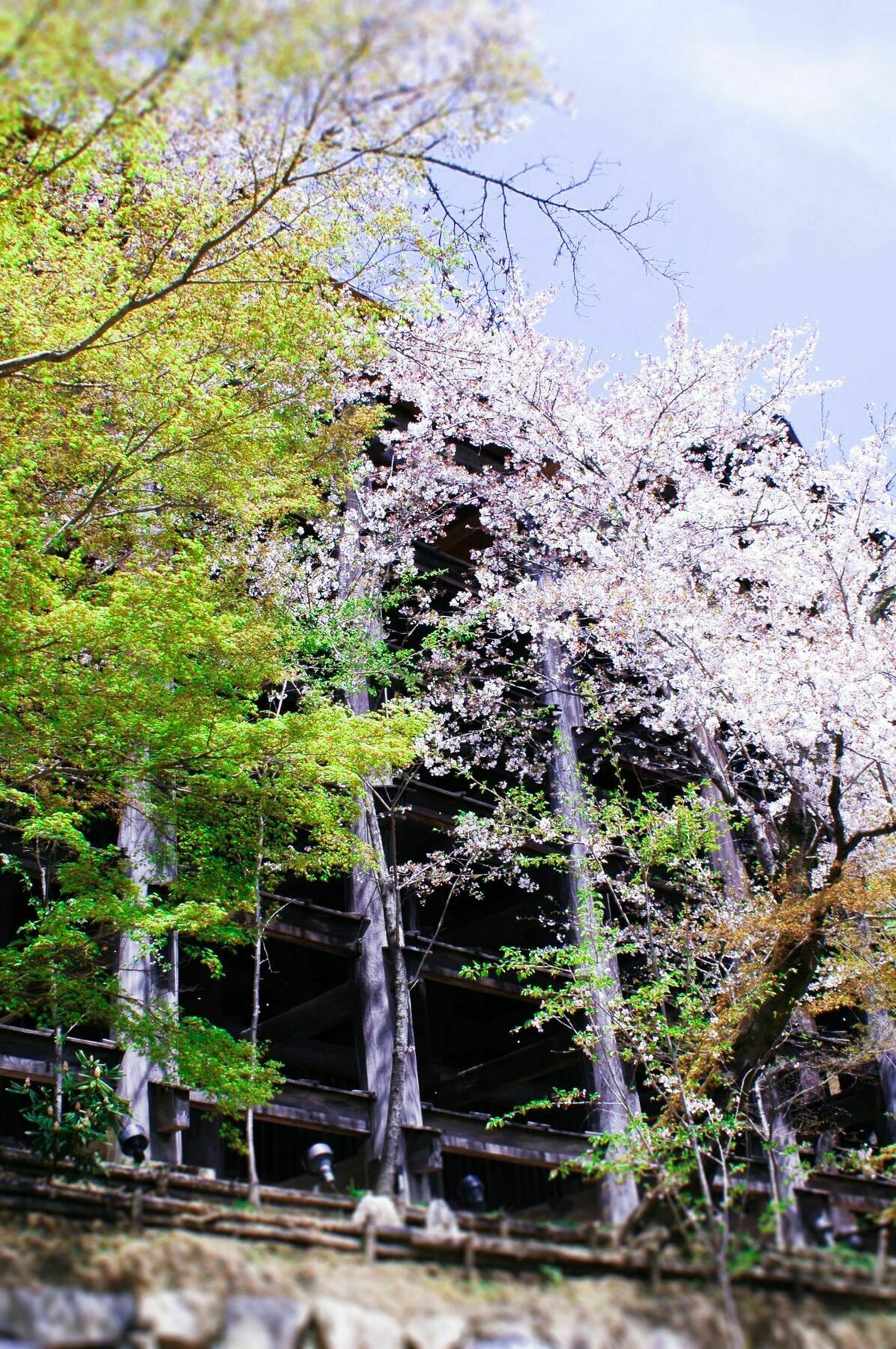 Stay Sakura Kyoto Machiya Akari Buitenkant foto